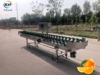 Hoge productiviteit sorteermachine voor dozen, automatische gewichtsclassificator, geoptimaliseerd voor het wegen van ronde vruchten
