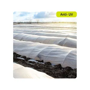 Pp spunbond non-woven ground cover fruit protection bags anti-uv treatment pp spunbond nonwoven fabric