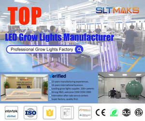 Treo Rau LED phát triển ánh sáng cho đậu quả Rau diếp rồng trái cây patiya cà chua dưa chuột nhà máy LED ánh sáng 4ft 120W - Product Image 6