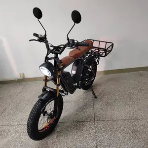 Fat Tire Electric Bike 1000W 44Ah 48v Dual Battery Full Suspension Oil Brake Delivery Electric Bicycle ELECTR CARGO BIKE