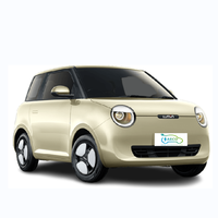 Mini-voiture d'occasion Ukraine 0 Tarif 2024, Nouvelle édition familiale, Mini véhicule électrique, Berline électrique compacte et économique