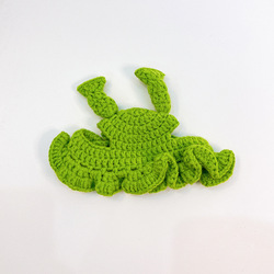 Shrek vert
