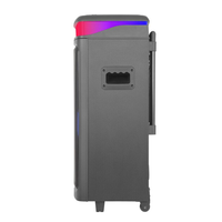 Enceinte Bluetooth portable multifonction Diamond Private Model avec double woofer de 8 pouces, 2 voies, éclairage LED Aurora Starlight RVB, chariot avec USB