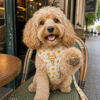 Fabricant de harnais pour chien sur mesure, harnais réglable pour le cou, harnais pour chien crème, soleil, arc-en-ciel, floral, ensemble de harnais pour chien avec bandes réfléchissantes