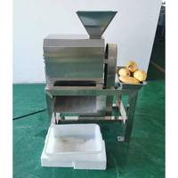 Industrieel Beroep R Extractor Vruchtensap Pulpermachine Mango Passievrucht Pulpersap