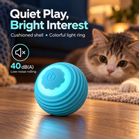 Jouet interactif automatique pour chat en silicone souple rechargeable par USB-C avec lumière LED roulante automatique pour jouer en intérieur