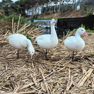 Señuelo de Ganso de Nieve de Cuerpo Completo Personalizado de Fábrica, Equipo de Caza al Aire Libre, Simulación de Aves, Señuelo Táctico para Aves Acuáticas, Material EVA - Product Image 4