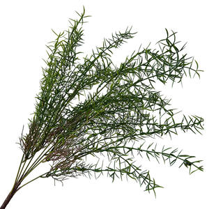 نباتات اصطناعية H-686، أوراق سرخس للزينة المركزية في حفلات الزفاف، ديكورات خضراء اصطناعية، أوراق سرخس بلاستيكية تبدو حقيقية عند اللمس - Product Image 3