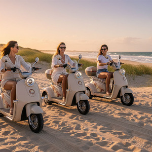 HLD Hot Sale Urbano Pendulares <span class=keywords><strong>3</strong></span> Rodas Scooter Elétrico Dois Seaters Espuma Almofada Do Assento Zero Emissão Elétrica Trike - Product Image 3