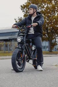 Bicicletta Elettrica Best Seller 48V17.5Ah Motore 1000W <span class=keywords><strong>E</strong></span>-bike Bici Elettrica 20 Pollici con Pneumatici Fat - Product Image 3