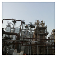 Usine clé en main certifiée CE pour la production de riz étuvé complet