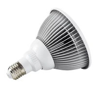 Lampe de luminothérapie rouge P2S 18 LED avec perles de lampe en céramique, lumière de thérapie pour tout le corps