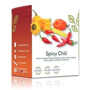 <span class=keywords><strong>Mini</strong></span> pot de fleur moderne d'intérieur pour la maison <span class=keywords><strong>Kit</strong></span> de jardin <span class=keywords><strong>potager</strong></span> pour bonsaï Plantation Bureau ou sol Type d'emballage - Product Image 1