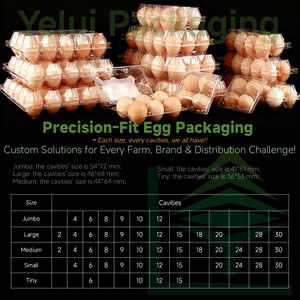กล่องใส่ไข่พลาสติกใสแบบกำหนดเอง 20 หลุม พร้อมฝาปิดและหูหิ้ว ใช้แล้วทิ้ง ซ้อนกันได้ บรรจุภัณฑ์แบบพลาสติกขึ้นรูป วัสดุรีไซเคิล - Product Image 2