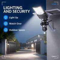 Lámpara Solar de Calle con Módulo de Cámara de Seguridad y Cuerpo de Aluminio Fundido a Presión, Personalizada para Áreas de Almacenamiento sin Supervisión