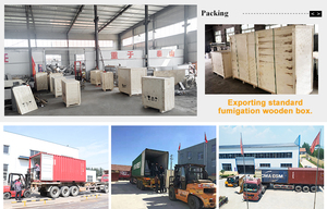 Verse aardappel <span class=keywords><strong>chips</strong></span> productielijn legt <span class=keywords><strong>chips</strong></span> productie <span class=keywords><strong>chips</strong></span> crisp maken lijn - Product Image 6