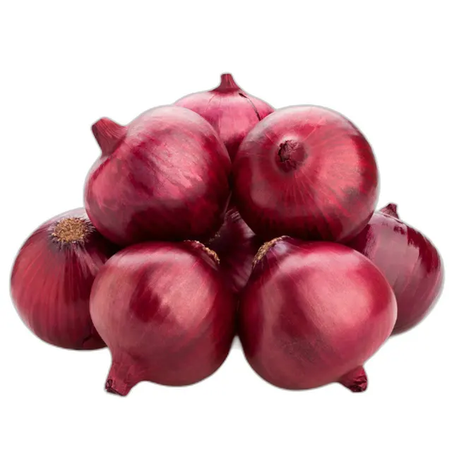 Fresh Onions Direct from Chinese Wholesale Supplying Yellow and Dark Red Onions in Convenient Packaging