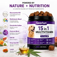 Complément multivitaminé 15-en-1 pour chien : Friandises molles personnalisées OEM avec logo, à base de Glucosamine HCI, pour stimuler l'immunité, nourrir la peau et le pelage