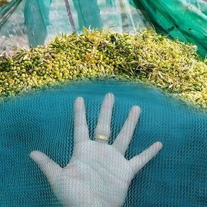 Filet de Récolte <span class=keywords><strong>Agricole</strong></span> pour Fruits Verts et Noix (Noix, Olive, Châtaigne, Abricot, Noisette) - Vente Chaude - Product Image 4