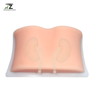 Ilmu Kedokteran Model Tusukan Ginjal Dipandu Oleh Ultrasound untuk Pelatihan B Praktek Pengajaran Perforasi Ginjal Ultrasonik - Product Image 2