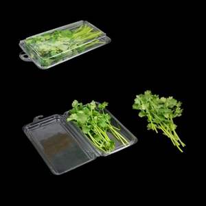 Boîte de conservation alimentaire pliable transparente en plastique jetable de qualité alimentaire pour coriandre, légumes-feuilles et autres légumes - Product Image 4