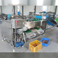 Sinaasappels Citroen Granaatappel Mango Sorteermachine Sorteermachine Aardappelroller Sorteermachine