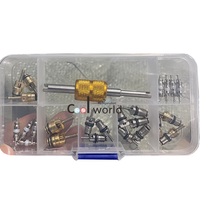 Kit de noyau de valve de climatisation 26 pièces avec outil de démontage