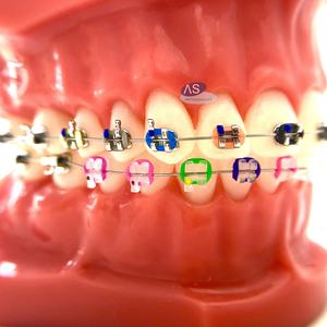 TMA Arch Wires ortodontico dentale - Product Image 5