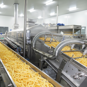 Chaîne de production automatique de frites à haute efficacité, <span class=keywords><strong>friteuse</strong></span> à chips de pommes de terre, mélangeur de 300 kg/h pour la production commerciale de snacks - Product Image 2