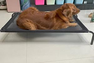 Luxury <b>Portable</b> Foldable Pet <b>Bed</b> Durable Metal Elevated Mesh Breathable Design for <b>Dogs</b> - Product Image 2
