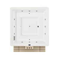 WS-SP3200 Spa extérieur moderne de luxe en acrylique brun de haute qualité, bain à remous carré avec escalier