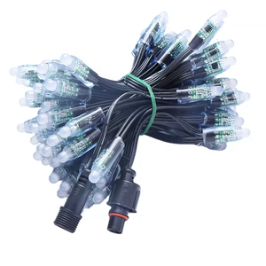 Pixel <strong>Led</strong> Light Ws2811 5v 12v <strong>Rgb</strong> Rgbw Waterproof Smart Pixel Christmas Lights <strong>Led</strong> <strong>Module</strong> Light - Product Image 1