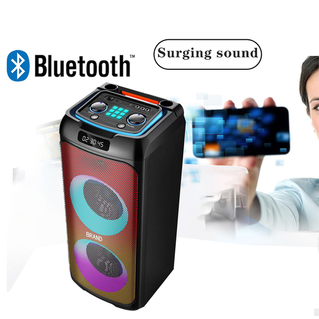 Certified Best Sound 2*8INCHES S Double High Quality Speaker for Outdoor Activities with AUX Communication