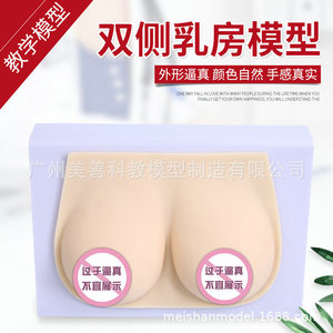 Formation des conseillères en lactation : seins artificiels médicaux en silicone souple, écoles professionnelles de services domestiques, hôpitaux - Product Image 2
