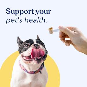 ओएम/ओडम प्राकृतिक कुत्ते मशरूम पूरक पाउडर-प्रतिरक्षा और पाचन स्वास्थ्य देखभाल - Product Image 5