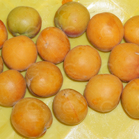 Industriële Abrikozenfruitzaadverwijderingsmachine Abrikozenzaad-Pitter Commerciële Abrikozenfruitkern-Scheidingsmachine