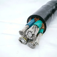 Cable de Arrastre para Grúa de Alta Resistencia YLHC, Resistente al Frío, Clase 5, Cobre Estañado, Revestimiento EPR, IP54, Cable de Alimentación Móvil para Bajas Temperaturas