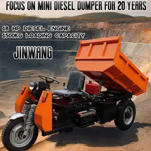 Jinwang Motorized Diesel Tricycle Bicycles Diesel Trike Big Wheel 3 Wheel Cargo Tricycle