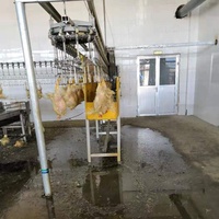 Équipement d'étourdissement de volaille Ligne d'abattage automatique de poulet Machine d'étourdissement de l'eau