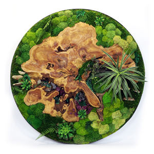 プレディメイドカスタムオフィスデコレーション3Dリアルナチュラルモスウォールアートフレーム安定化保存モスウォールパネル - Product Image 3