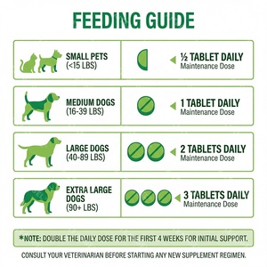 Tablet Perawatan Sendi Hewan Peliharaan Premium OEM Glukosamin Kondroitin MSM Suplemen untuk Anjing & Kucing Label Pribadi - Product Image 2