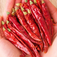 Vente de gros Piment rouge de Cayenne séché entier naturel pour la cuisine
