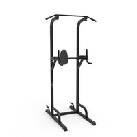DY-3018 Soporte de Ejercicio Multifuncional para Gimnasio en Casa, Barra de Dominadas de Metal, Soporte para Sentadillas, Banco de Pesas, Soporte para Curl, Equipo de Fitness para Gimnasio en Casa