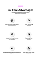 Microphone dynamique sans fil en alliage d'aluminium personnalisable avec connecteur Type C pour conférences, karaoké, enseignement et fêtes