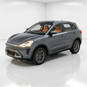 Baima SUV Eléctrico de 5 Plazas con Faros LED e Interior de Cuero - Product Image 1