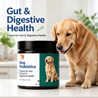 Probiotiques et prébiotiques pour chiens OEM, friandises moelleuses, probiotiques multi-souches, enzymes digestives, soutien de la flore intestinale, soulagement des maux d'estomac, santé immunitaire