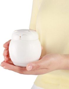 Urna de Cerámica para Cenizas de Gato en Oferta, con Tapa Segura, Caja Conmemorativa, Urnas Funerarias, Recuerdo de Cremación para Gatos - Product Image 5