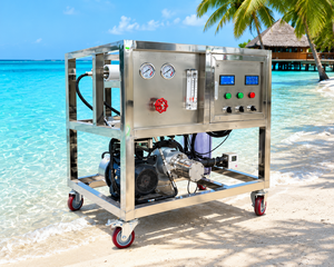 Unité de dessalement d'eau de mer 50 LPH sur roues, idéale pour villas de plage, machine d'osmose inverse, purification d'eau potable - Product Image 2