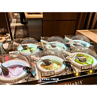 Machine à glace commerciale économique en acier inoxydable, congélateur discontinu 6 saveurs, pour gelato, fruits et lait, sur pied MILES