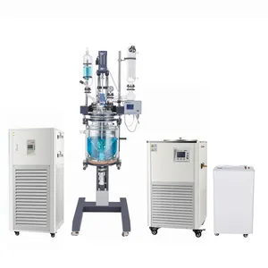 Chemical 20L Lab Lifting Dual Jacket Vacuum Variable Frequency Speed Control Mixing Cylindrical Glass Reactor With Circulator